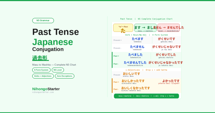 Japanese Past Tense Conjugation N5 for Beginners